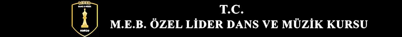 Lider Sanat Logo